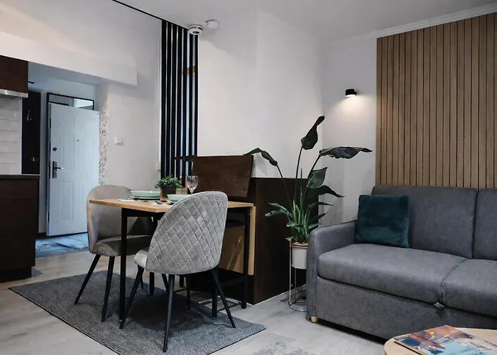 Apartament Downtown Museum *