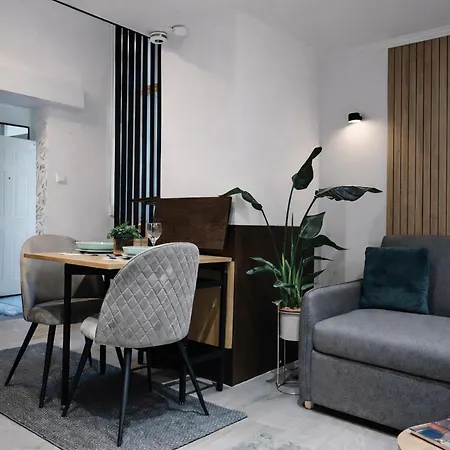 Apartamento Downtown Museum *